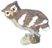 1 1/8" Owl (28mm)
