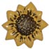 7/8" Sunflower