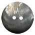 3" 2-Hole Abalone Shell