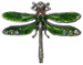 Large Green Enamel Dragon Fly