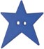 1 1/4" Blue Star 2-Hole