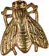 GOLD FLY