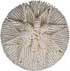 Ivory woven star