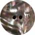 Awabi shellc 2-hole