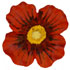 1 1/8" Red Flower with Yellow Center Shank Back