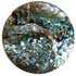 2 15/16" Round Abalone 2-Hole