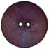 Turquoise Coconut Shell 2-Hole