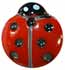 11/16" Red Glass Ladybug 