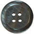 Grey 4-Hole Shell w/ Rim