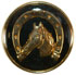 Black Enamel with Gold Horse, Horseshoe and Rim