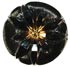 Black Glass with Gold Center and Floral Design