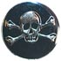 Silver Skull and Cross Bones with Black