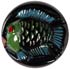 7/8" Black Glass with Green and Blue Fish