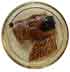 1 3/16" Cream Glass with Brown Dog Head
