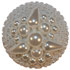 1 3/8" Pearl Beaded and Dome