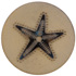 1" Navy Starfish Corozzo