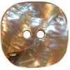Awabi Shell Square 2-Hole Button