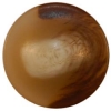 Tan/Brown/Beige Dome Button