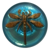 Turquoise Glass Dragon Fly Button 1 5/8"